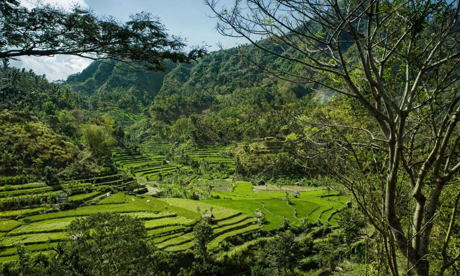 Retreat Villa Toraja Baturinggit Kubu Exteriér fotografie
